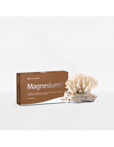 Complemento alimenticio Magnesium 6 Vitae (60 Cápsulas)