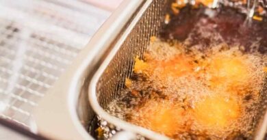 se muestra en la imagen. una freidora con aceite para ilustrar el artículo de quemaduras con aceite de cocina